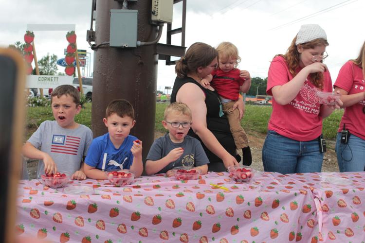 Farm Fresh launches Strawberry Festival Community sentinel