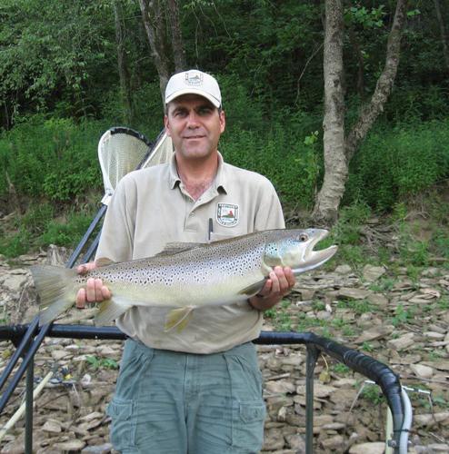 Kentucky Afield Outdoors: Wade the Cumberland Tailwater to beat the summer  heat, Sports
