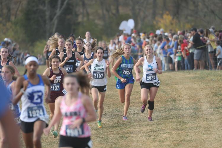 Local runners put in great effort in cross country state meet | Sports ...