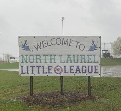 Little League® cancels 2020 World Series and Region Tournaments, Community