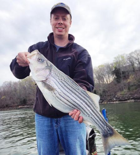 Kentucky Afield Outdoors: Swimbaits fool trophy fish, Sports
