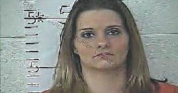 London woman takes plea deal in police pursuit case | Local News ...