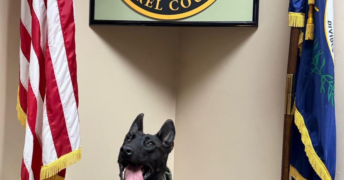 Sheriff's office K9 receiveds donation of body armor