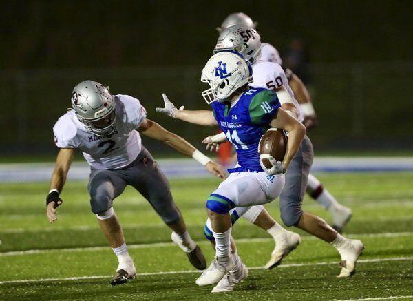 Jaguar animal picture