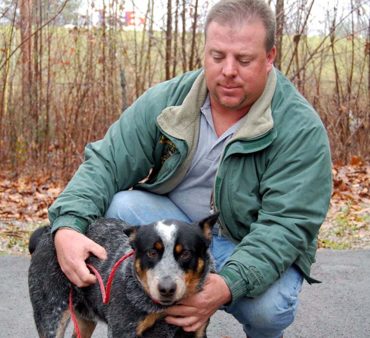 Animal Shelter