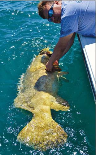 Bryantheceo - Can a Micro Fishing Rod catch a Goliath Grouper