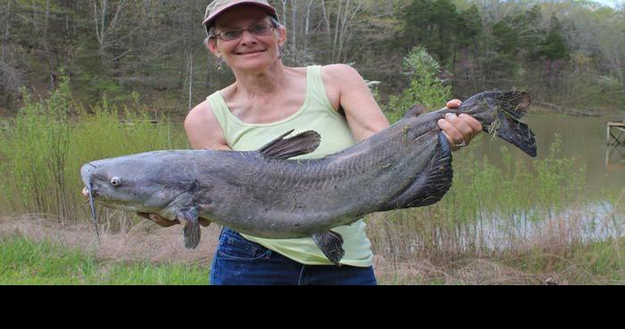 Huge flathead catfish caught on Little George lure- Lake