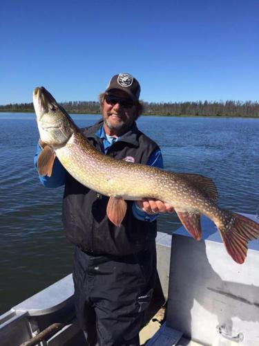 Fishing for Pike? Here is What I Know