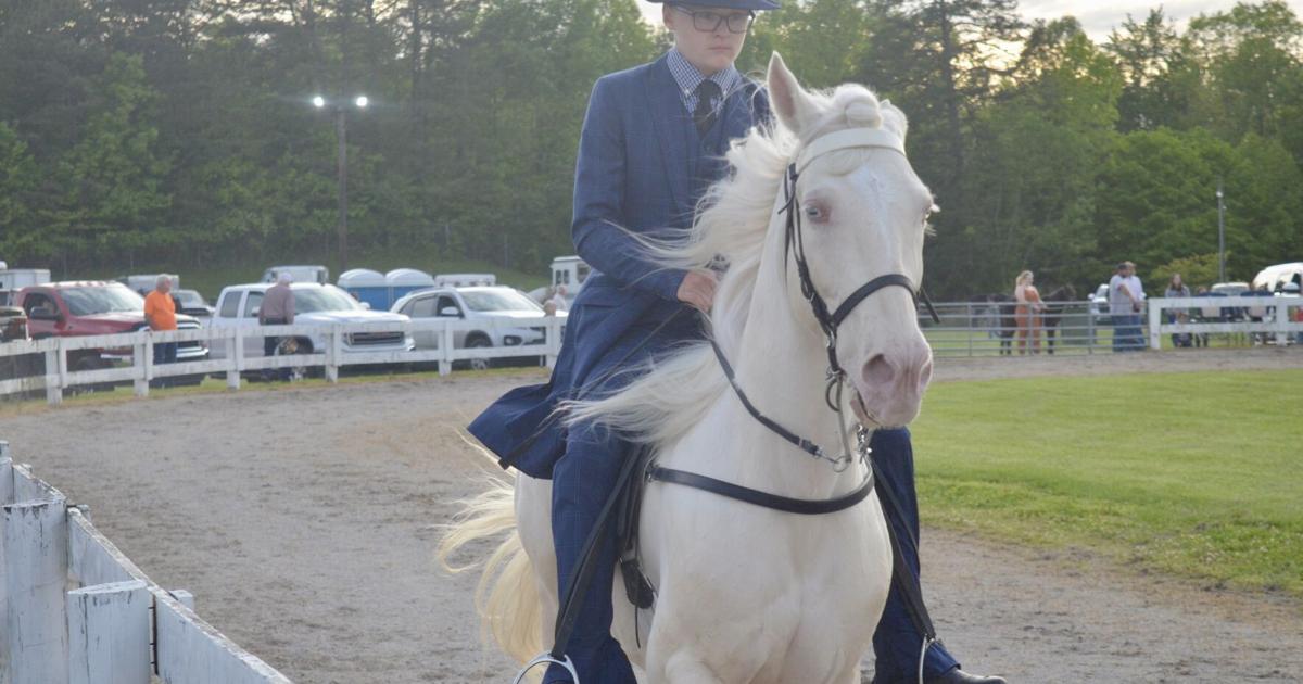 Annual CCC Tim Philpot Memorial Horse Show a success | Community ...