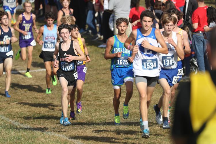 Local runners put in great effort in cross country state meet | Sports ...