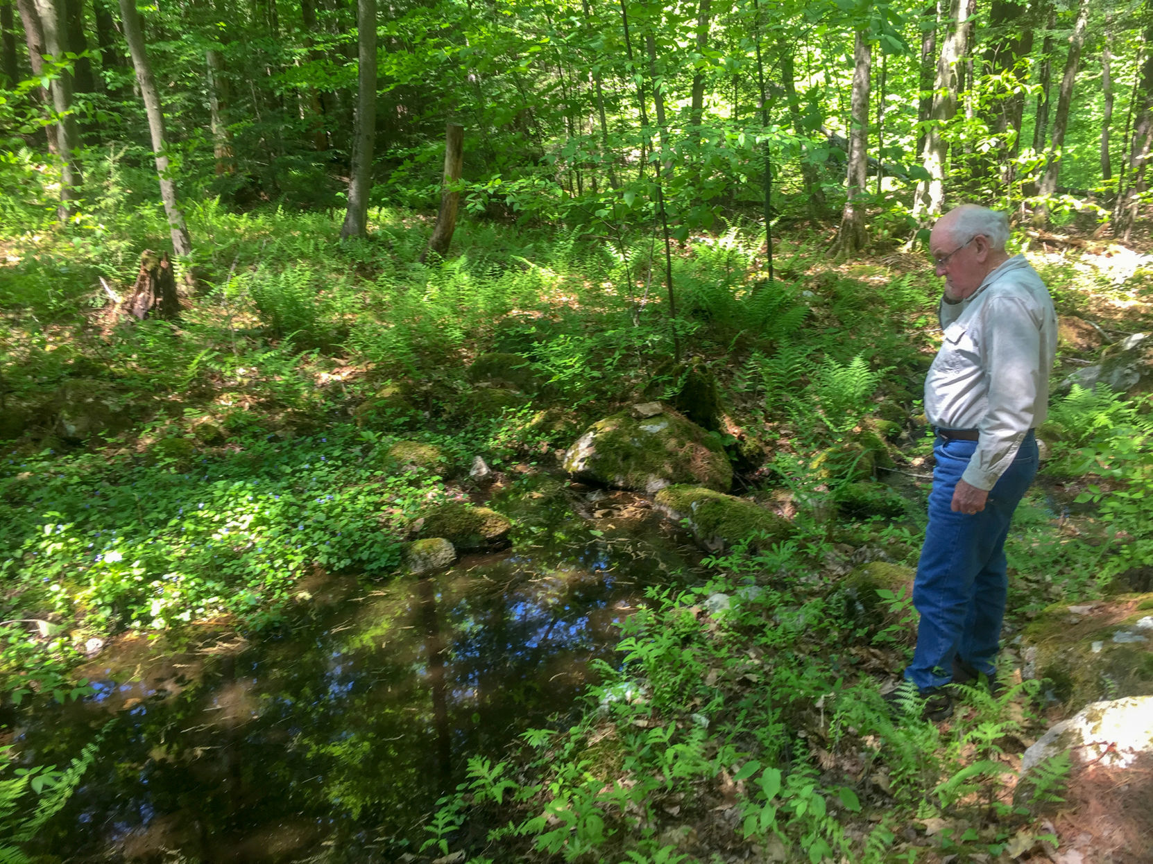 In Sister's Honor, Siblings Place 60 Acres Of Keene Land In ...