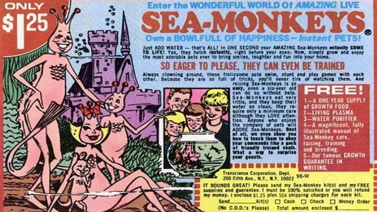 NATIONAL SEA MONKEY DAY - May 16, 2024 - National Today