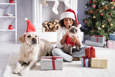 Fun Suggestions for Your Pets’ Stockings
