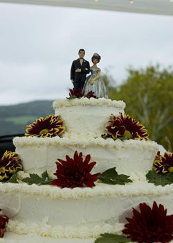 Wedding Cake Rentals - Just Temptations