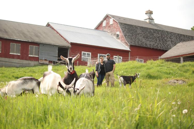 HOME  Bending Branch Farm