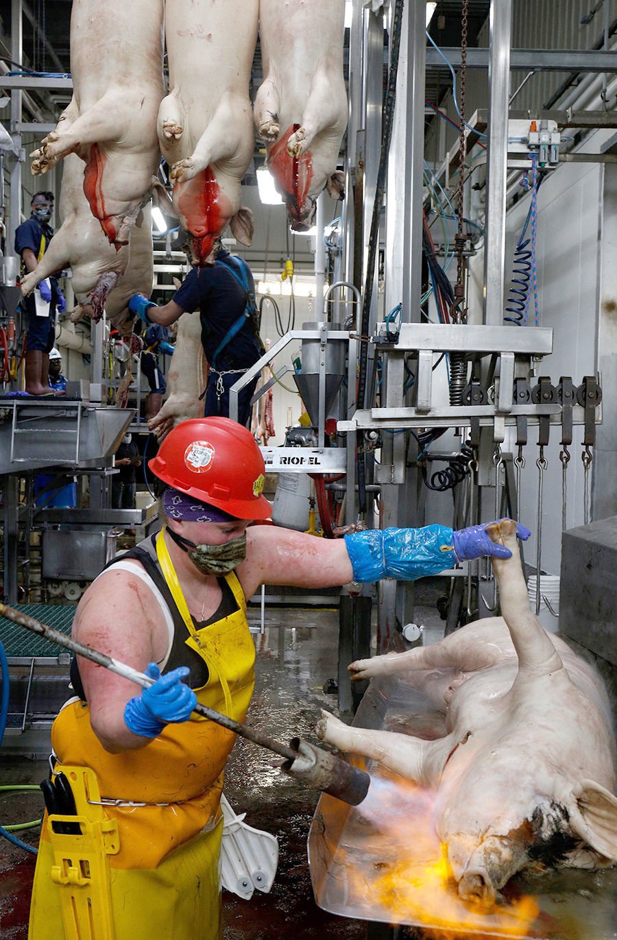 Upper Valley Slaughterhouses Rise To Meat Demand During Pandemic ...