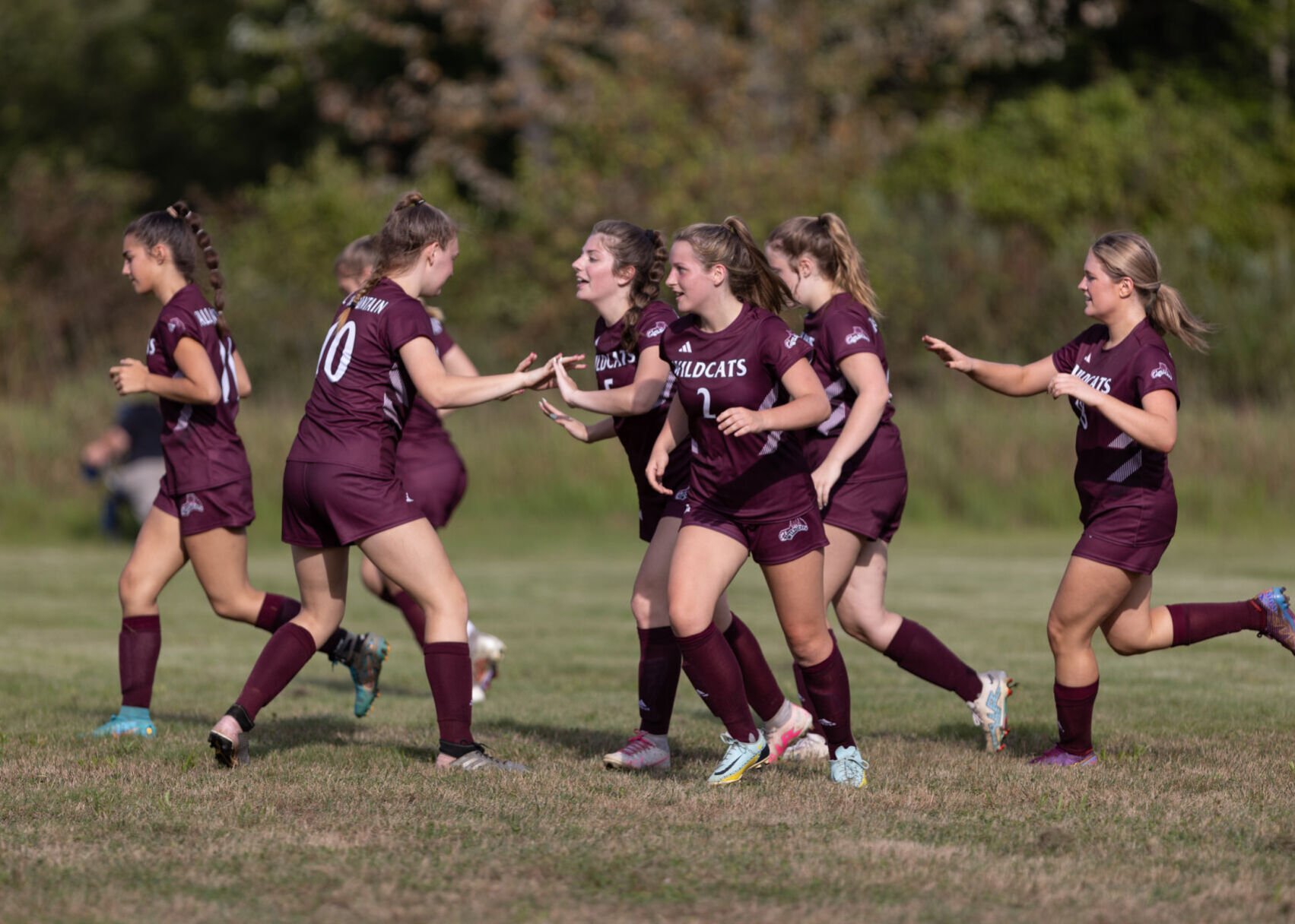 Fall Mountain Girls Lead Way As 18 Area Soccer Players Earn All-State ...