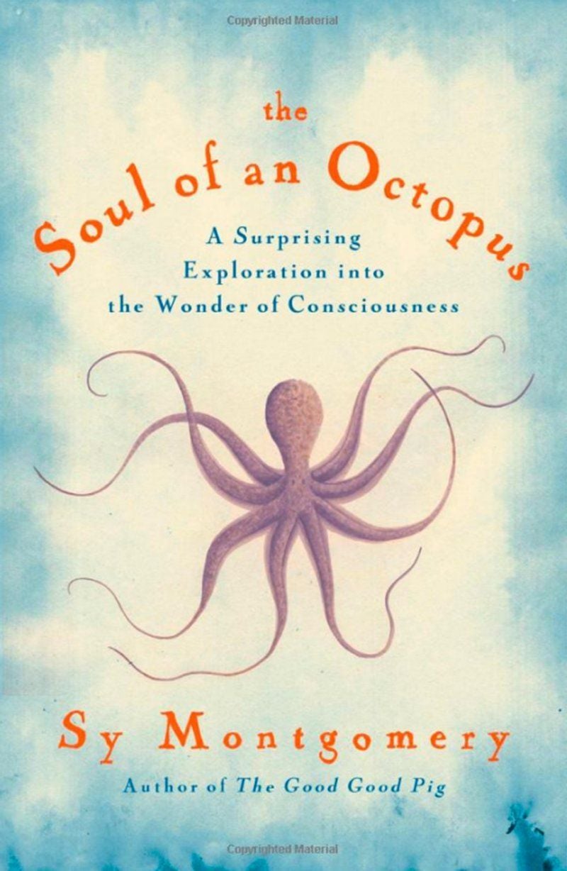 the soul of an octopus by sy montgomery