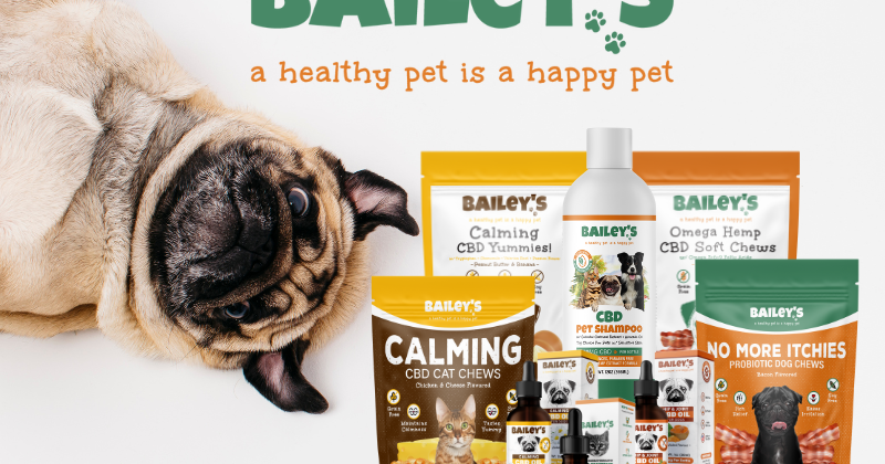 Chews Wisely: Bailey's CBD For Pets New Chews for Calm Cats and Comfortable Dogs | Marketplace - Vimarsana News