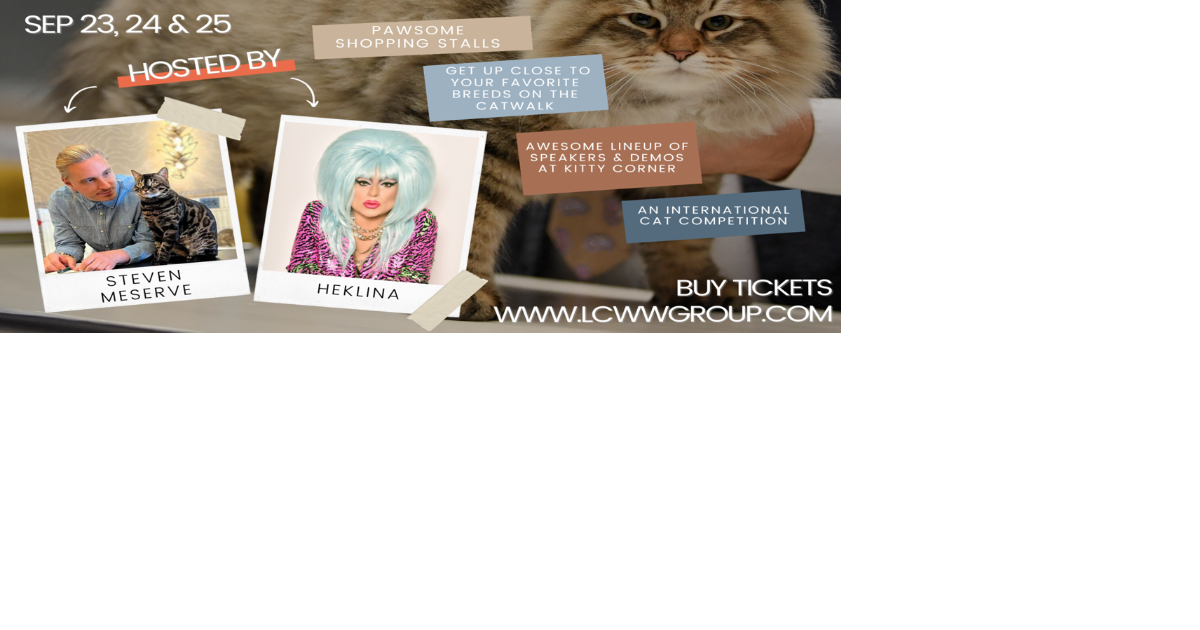 Cat Extravaganza!