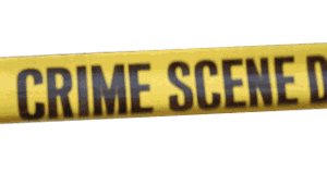 1 dead, 1 wounded after shooting on San Francisco city bus - Vimarsana News