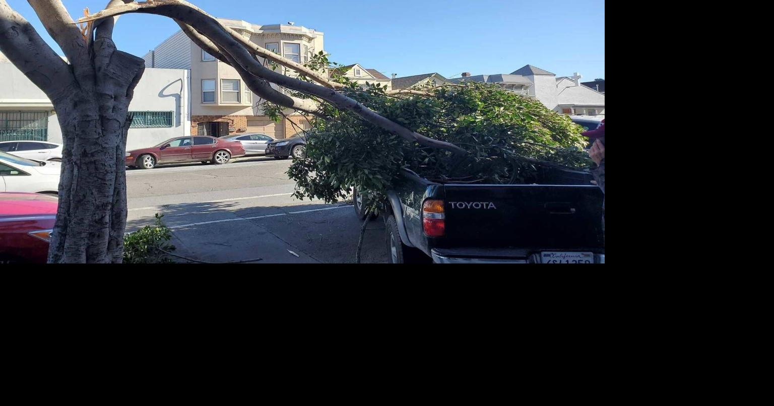 High winds down trees, prompt power outages around the Bay Area | San ...