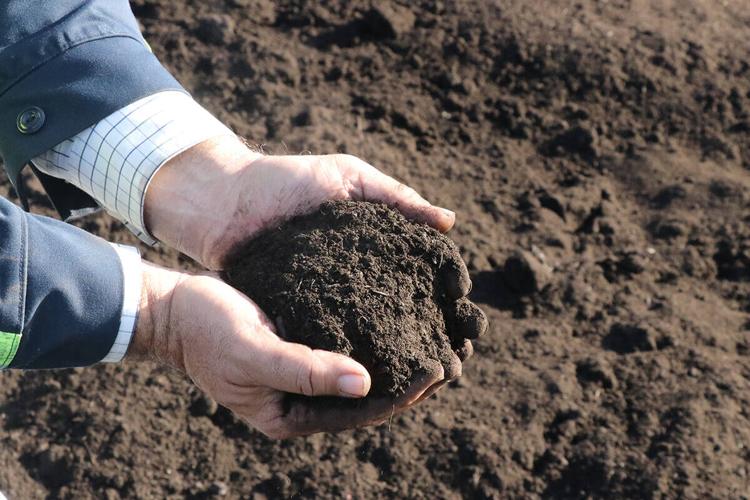 27343793_web1_211129-SFE-COMPOST_1