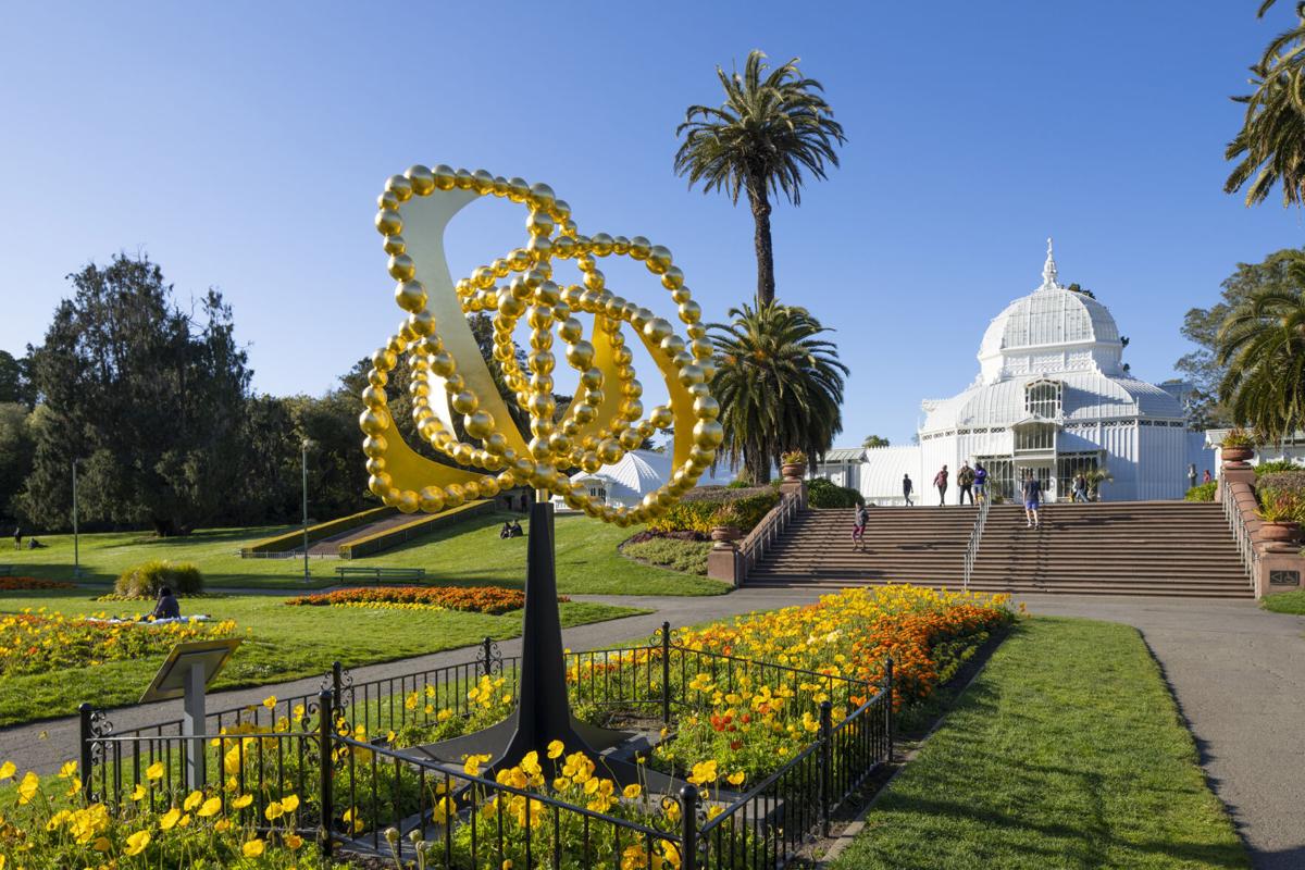 What to do in San Francisco this week, Culture