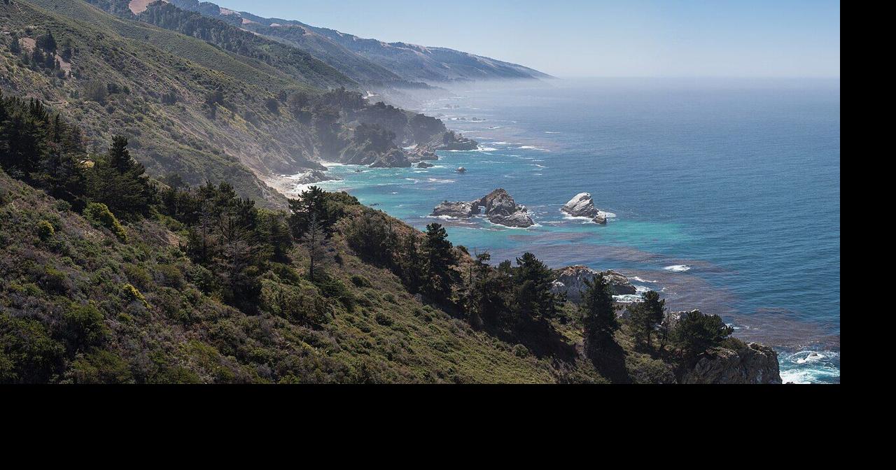 She's set to swim the entire California coast (sharks permitting)