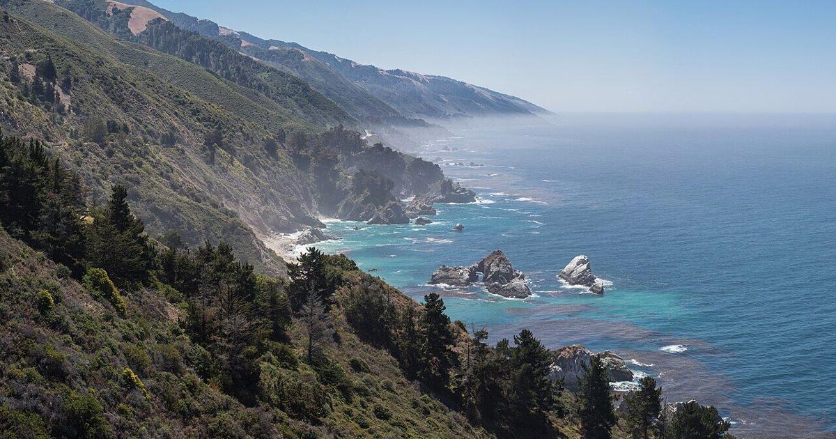 She's set to swim the entire California coast (sharks permitting)