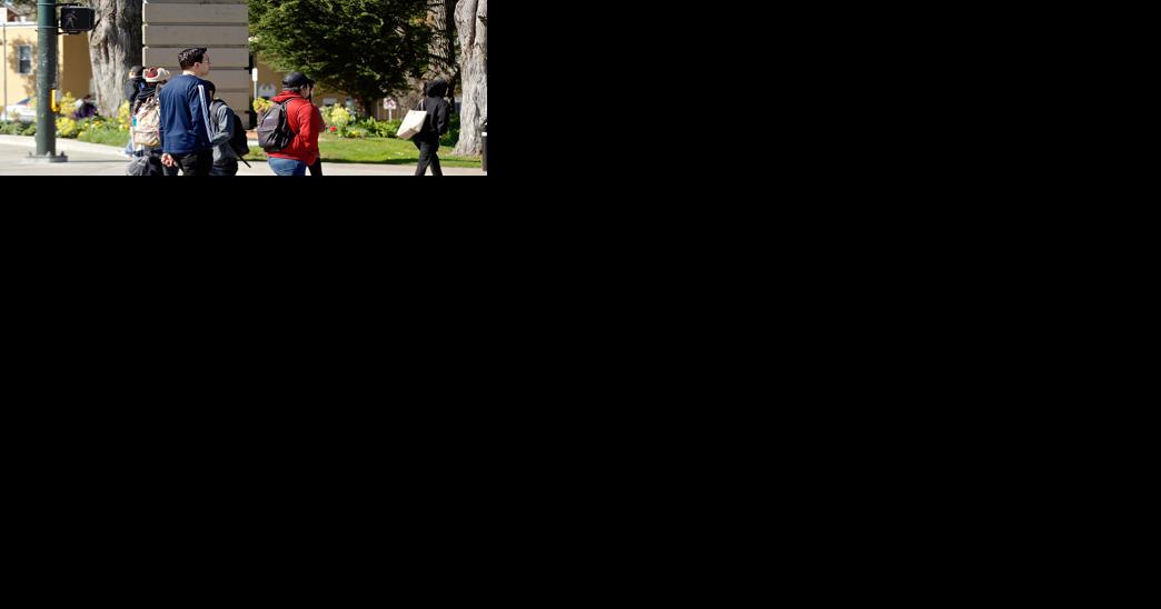 SF State offers free classes for those recently laid off | Education - Vimarsana News