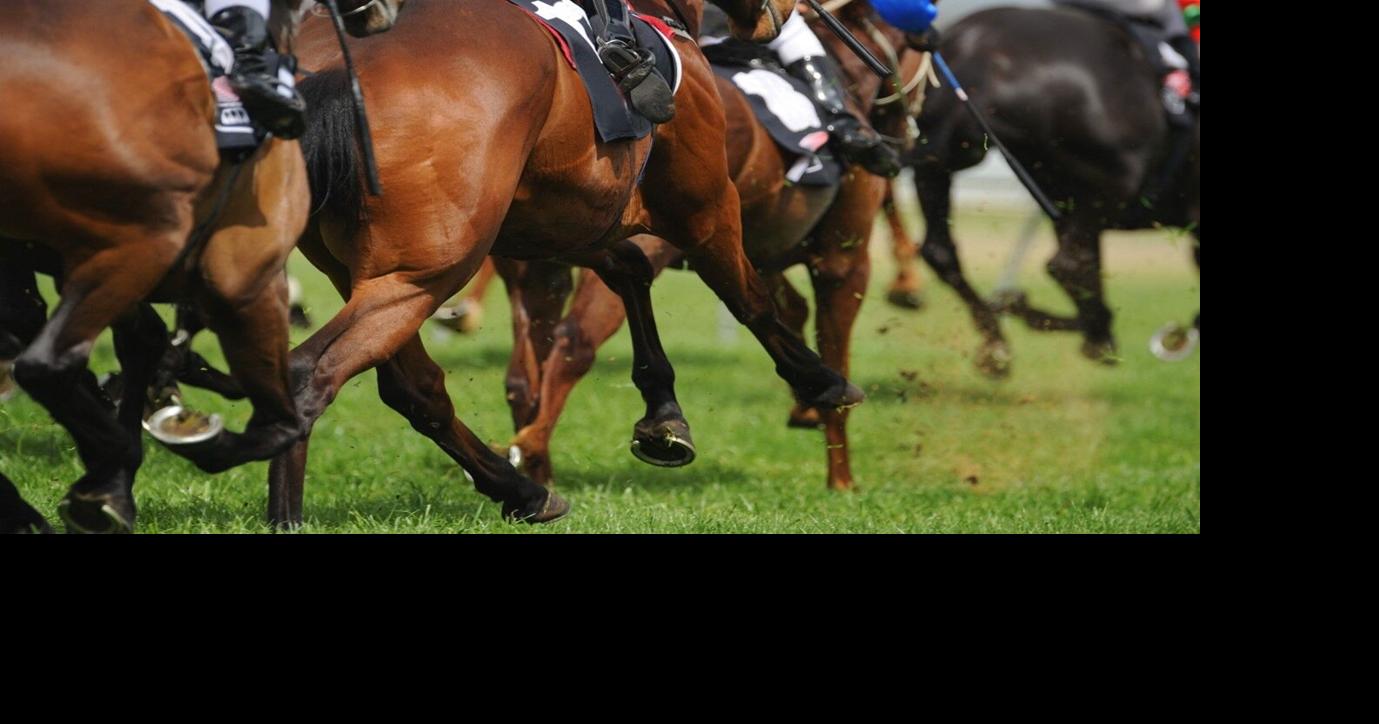 How Online Betting has changed Horse Racing in Australia