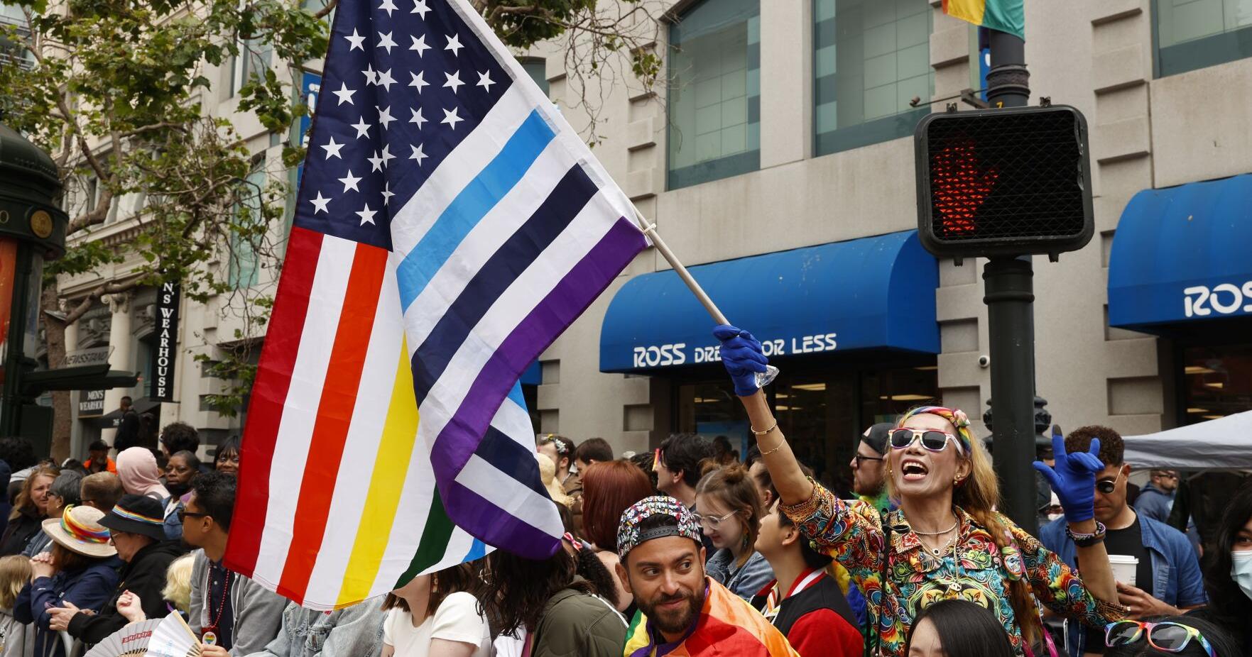 SF Pride, web designer team up after SCOTUS LGBTQ ruling | Politics - Vimarsana News