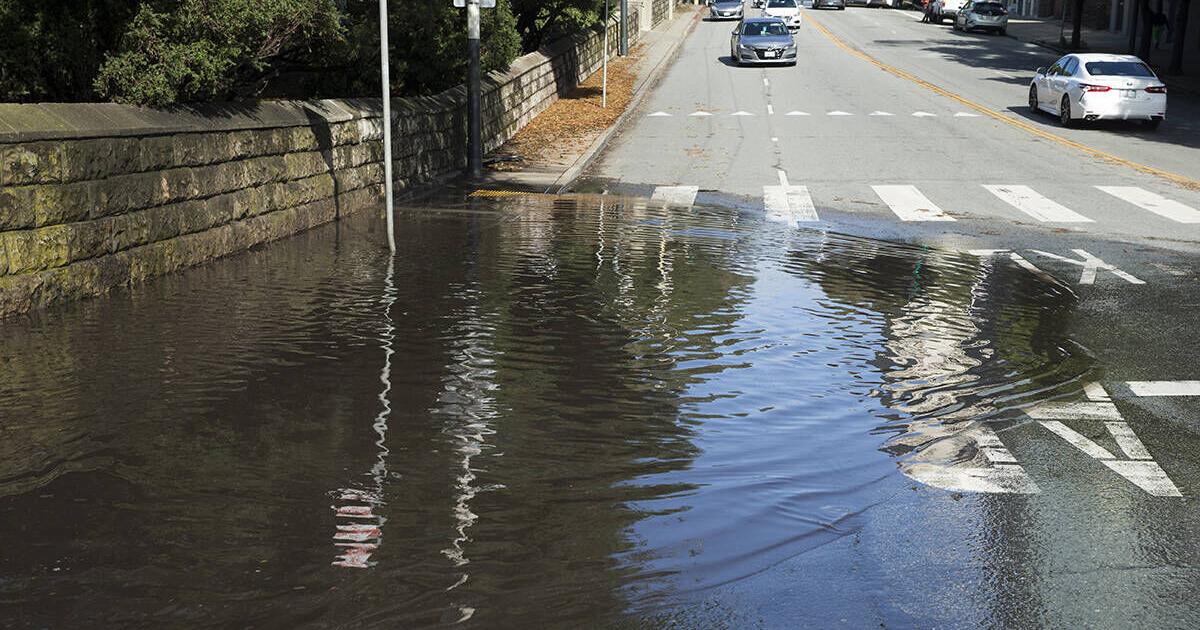 After the storm: How San Francisco makes use of rainwater | Archives After the storm: How San Francisco makes use of rainwater | Archives