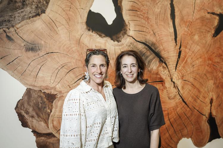 Tiffany Shlain's Feminist History Tree Ring & Speaker Pelosi for Art ...