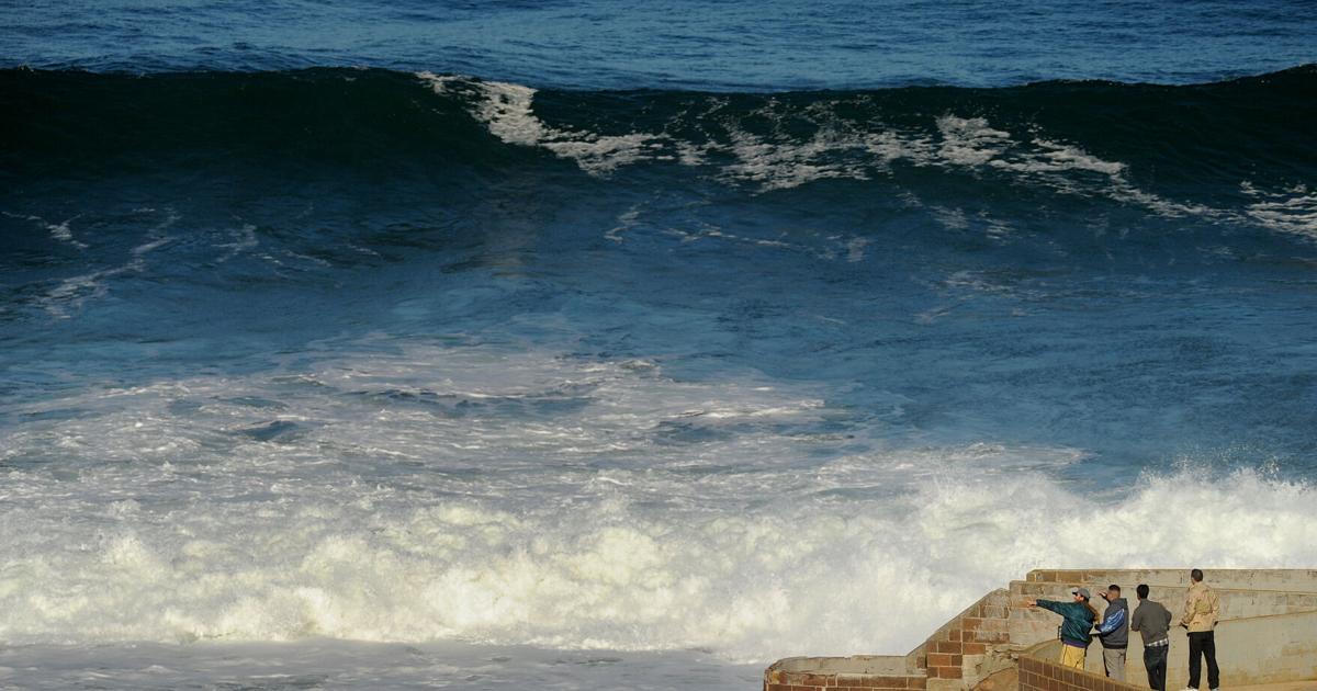 Sf tsunami live news Sf tsunami live news