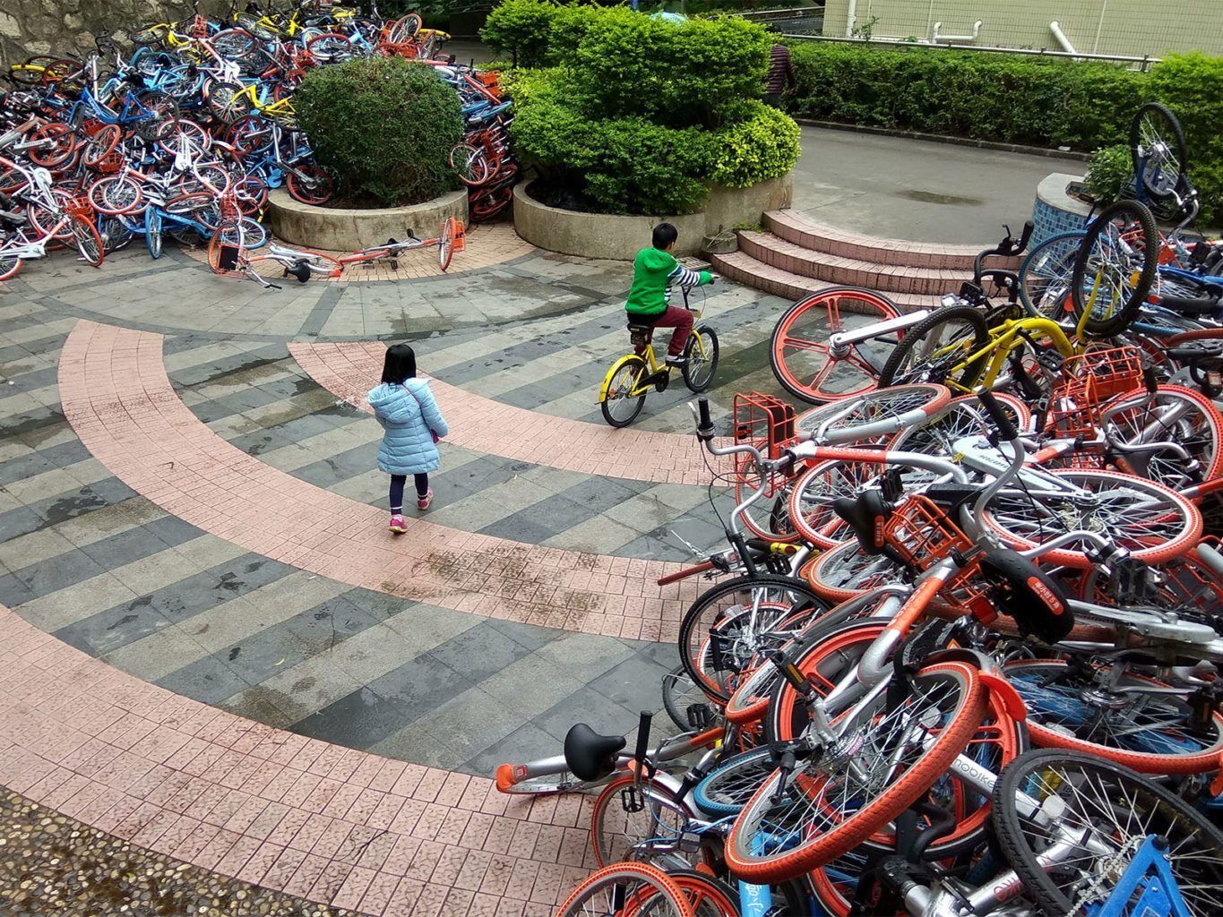 rogue bike share