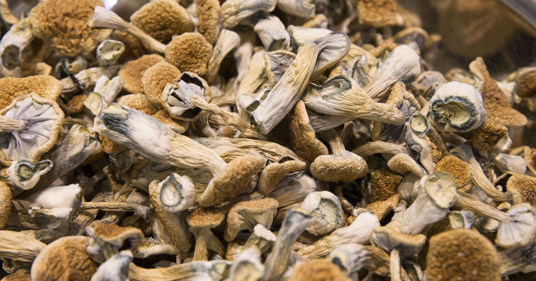 Decriminalization of and therapeutic treatments using psychedelics coming to S.F.? - Vimarsana News