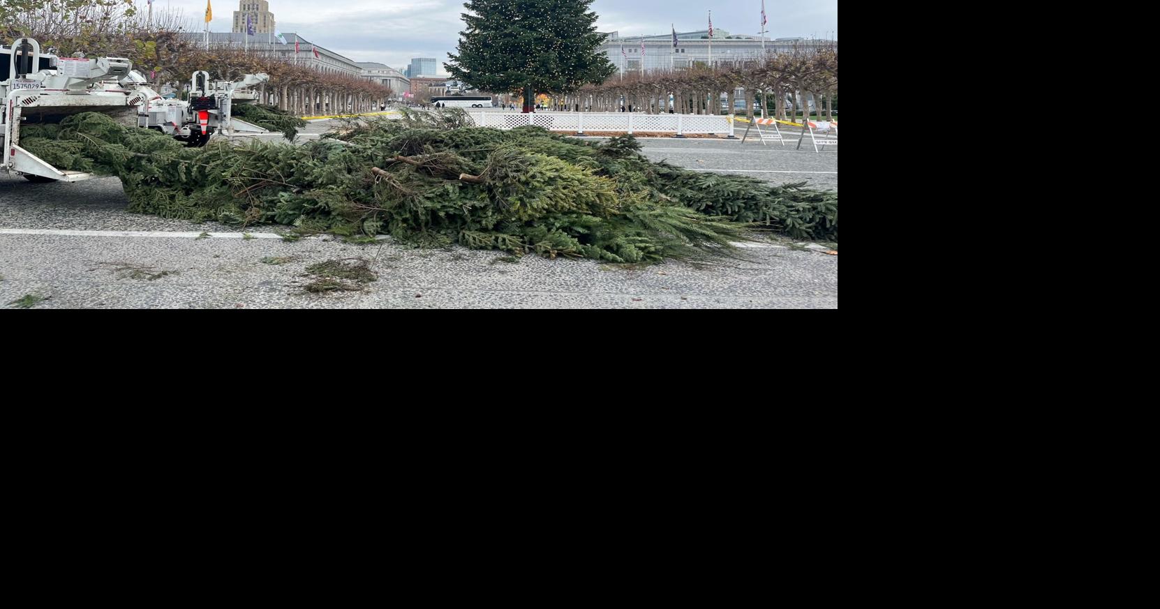 San Francisco Christmas tree pickup When, how to recycle Climate