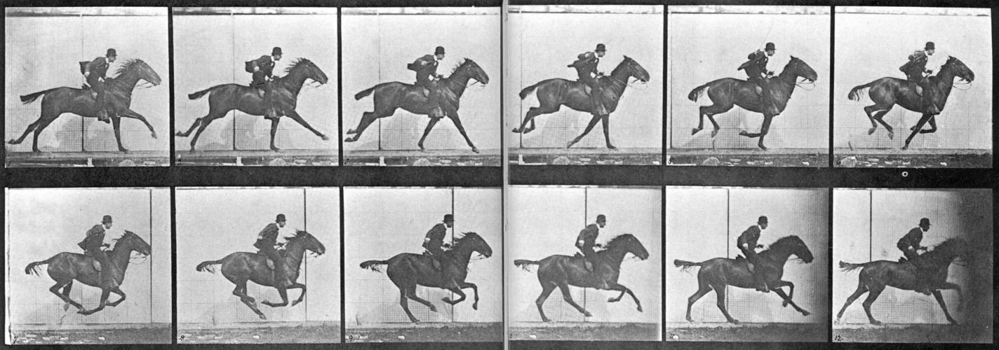 Eadweard Muybridge horse in motion