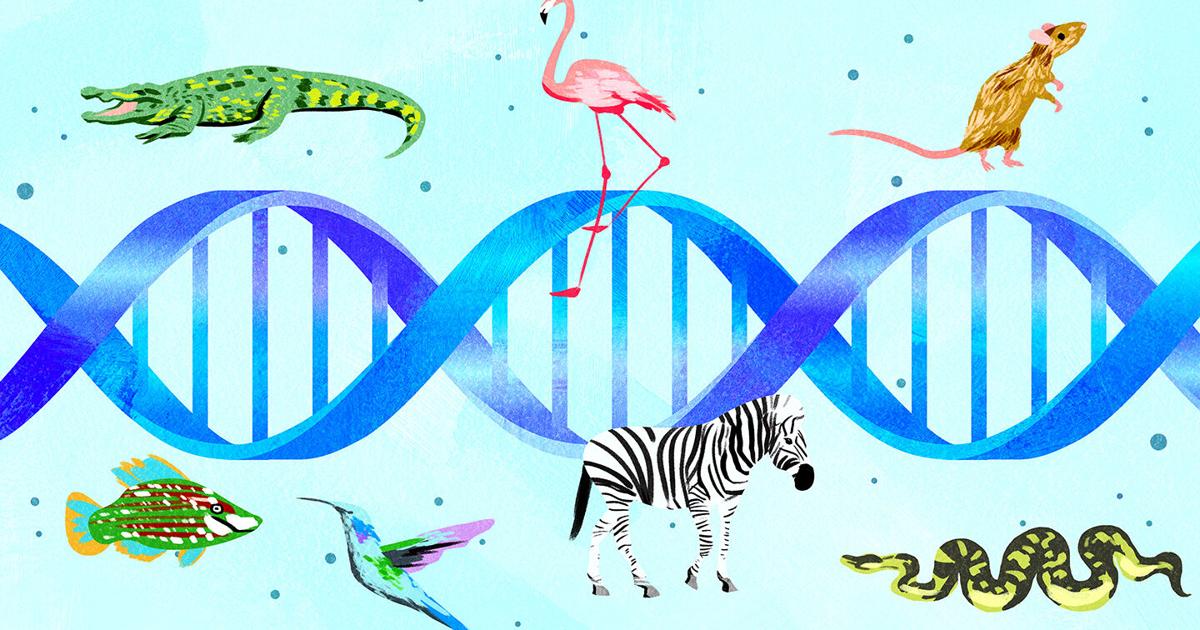Environmental genes could be the problem solver of the century