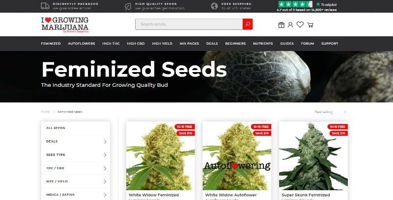 Your Guide to Buying Cannabis Seeds in the United States in 2021