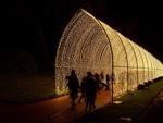 ‘Enchanting’ holiday light show comes to SF Botanical Garden