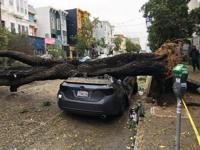 Los Gatos, Saratoga report minor damages, no injuries from 'bomb cyclone