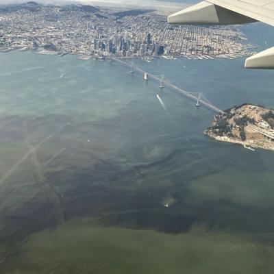 Algal bloom SF Bay aerial