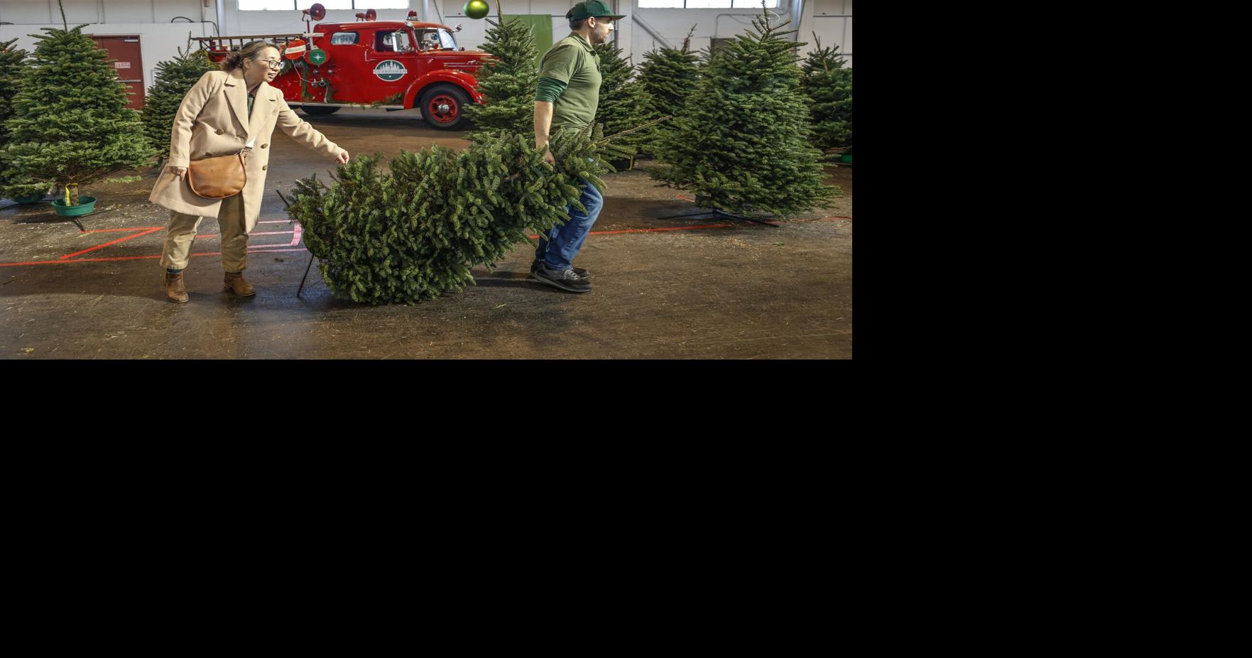 Meet the San Francisco group donating Christmas trees yearly The City