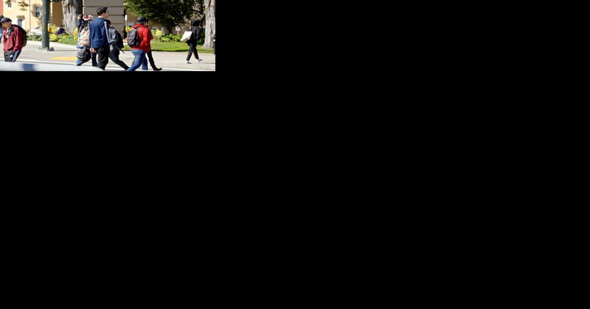 How SF State tuition hikes, staff cuts galvanized campus | Education - Vimarsana News