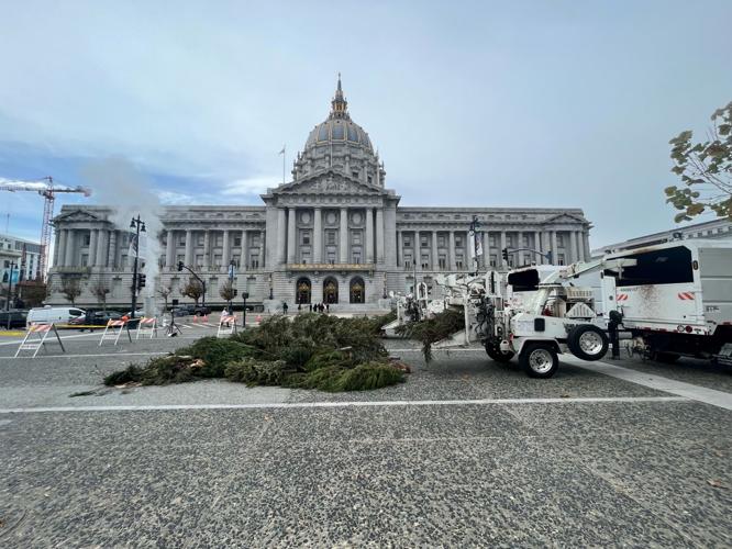 San Francisco Christmas tree pickup When, how to recycle Climate