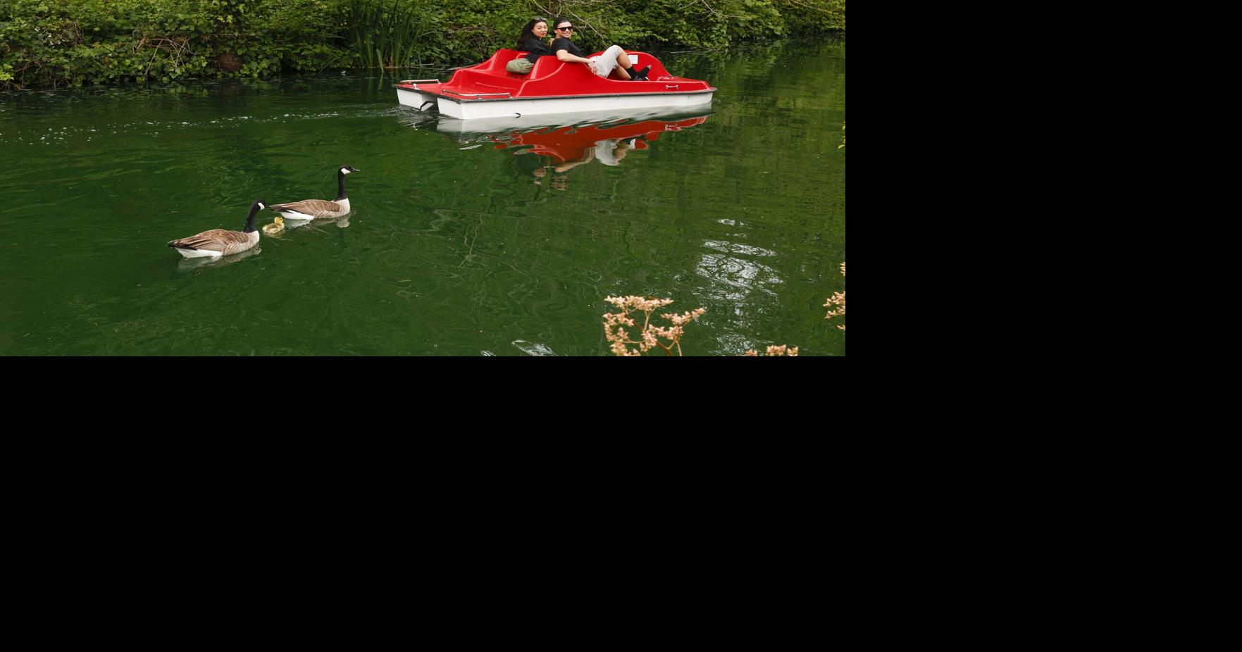 SF Board supports Golden Gate Park Stow Lake name change Politics