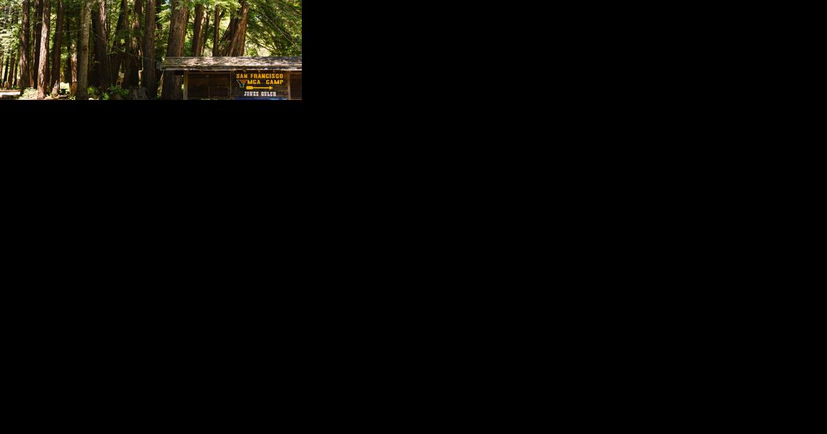 YMCA summer camp, old growth redwoods now protected | Bay Area News - Vimarsana News